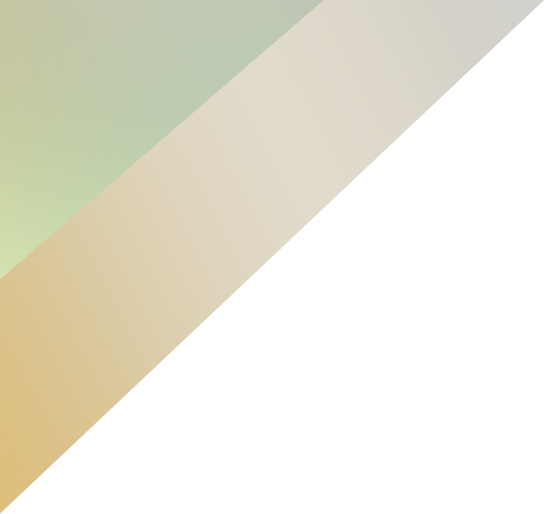 fundaciond de alimentacion en soacha